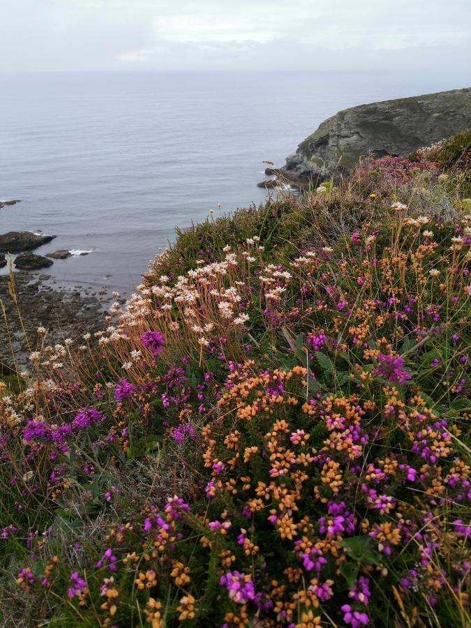 Captivating Isolde Cottage With Pool Near St Ives Camborne Buitenkant foto