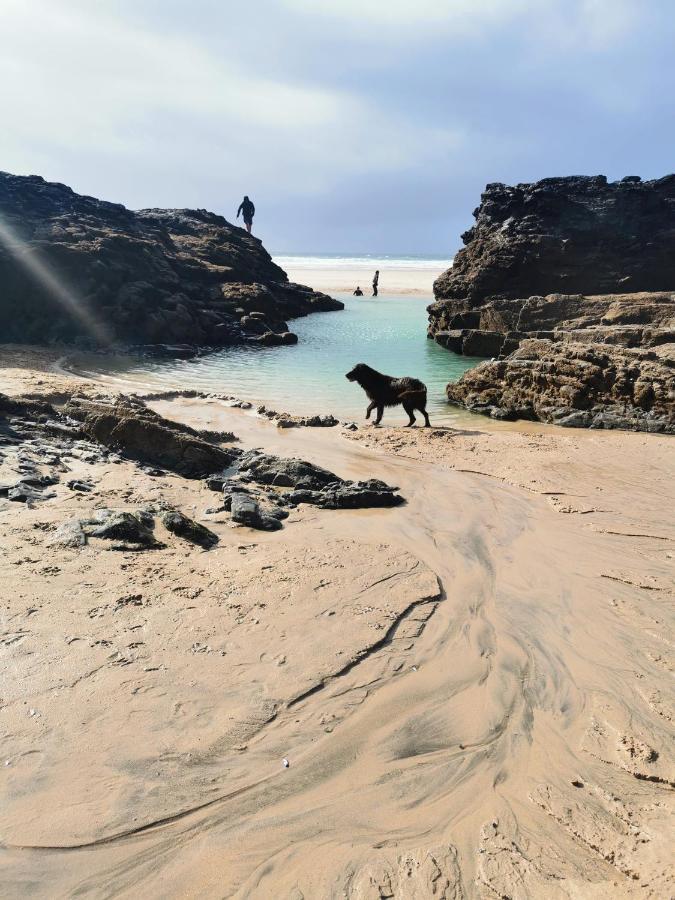 Captivating Isolde Cottage With Pool Near St Ives Camborne Buitenkant foto